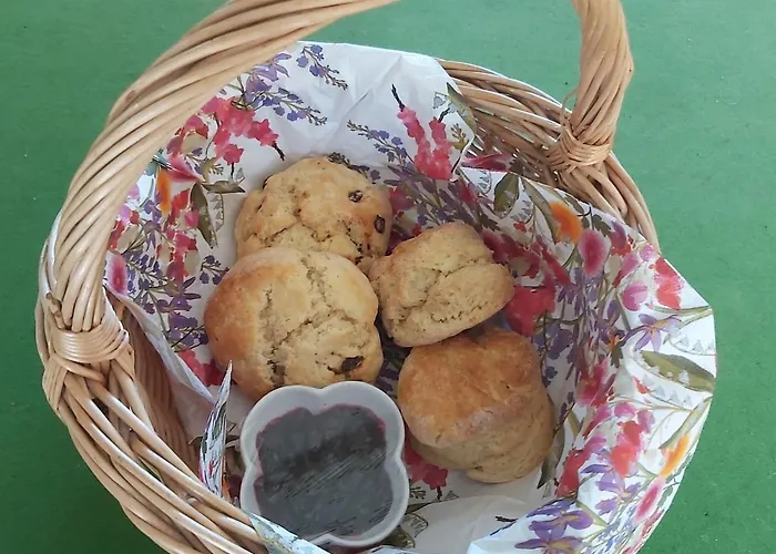 Peaceful Tranquil Alpaca Farm Wexford