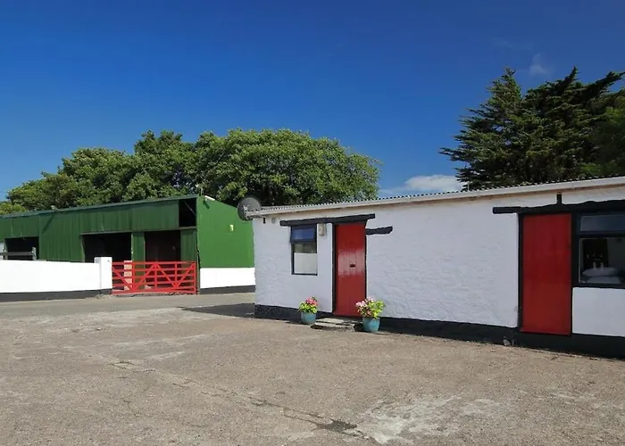 Peaceful Tranquil Alpaca Farm